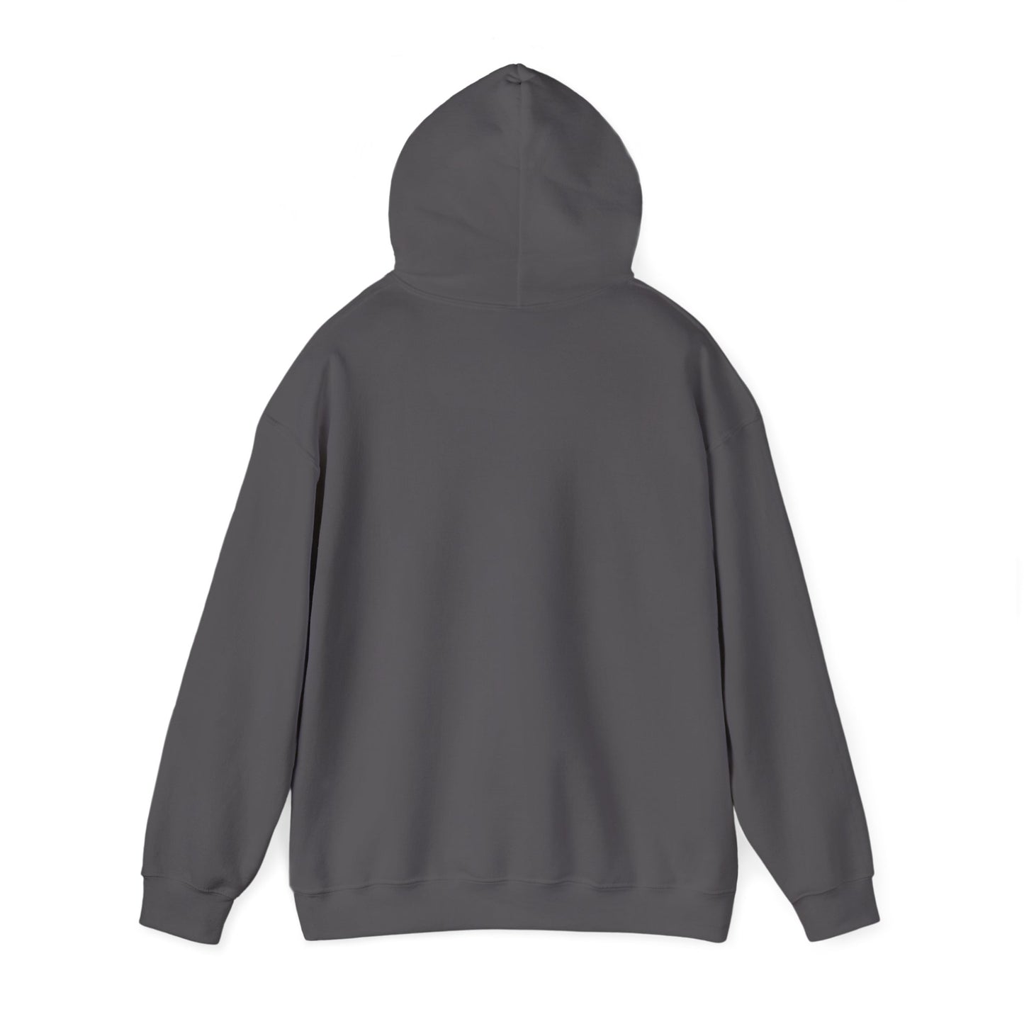 Urban Style Unisex Hooded Sweatshirt, Trendy Casual Wear, Gift for Friends, Streetwear, Everyday Comfort, Fashion Statement