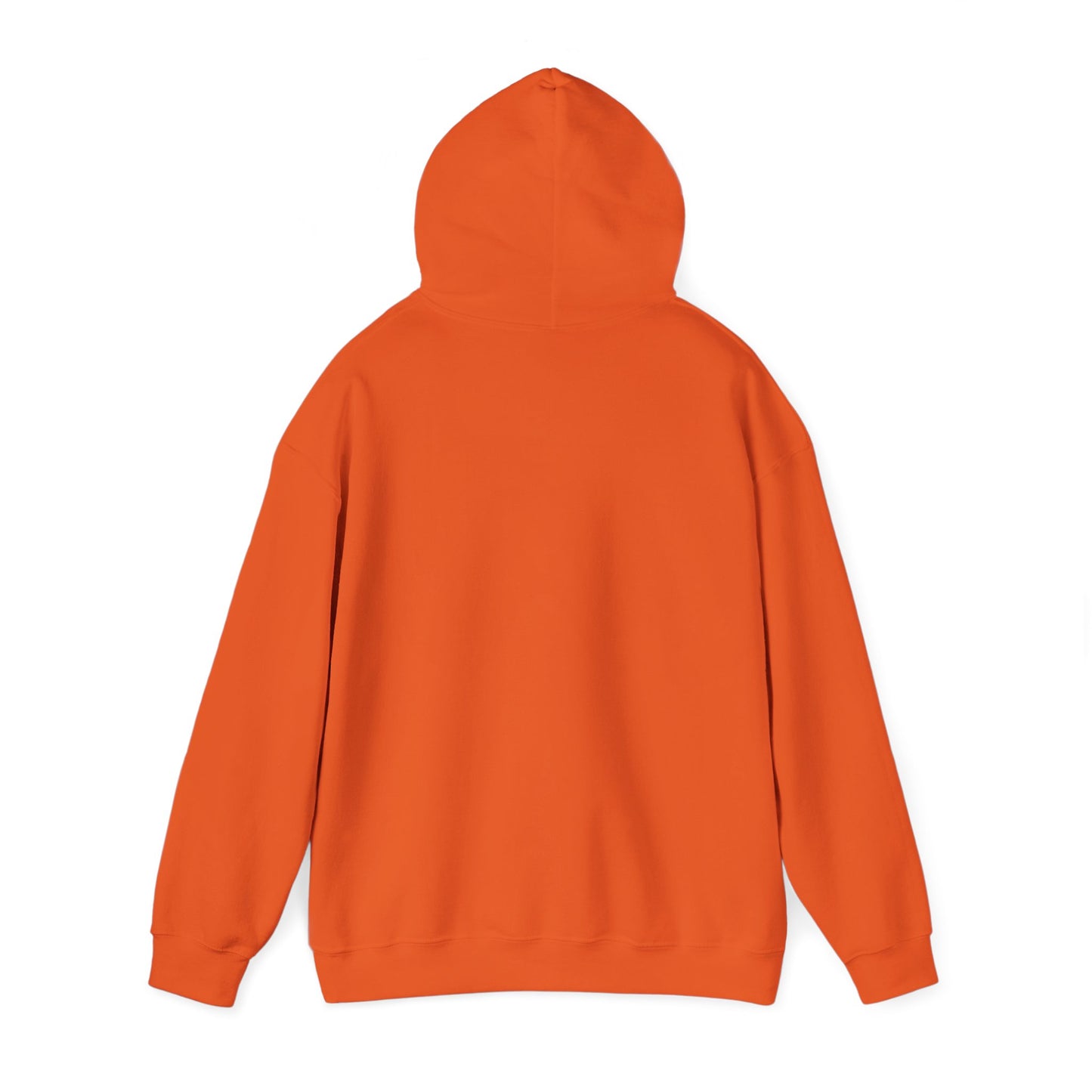 Urban Style Unisex Hooded Sweatshirt, Trendy Casual Wear, Gift for Friends, Streetwear, Everyday Comfort, Fashion Statement